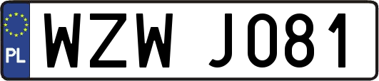 WZWJ081