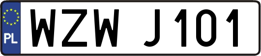 WZWJ101
