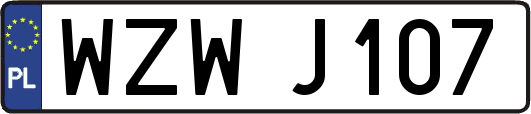 WZWJ107