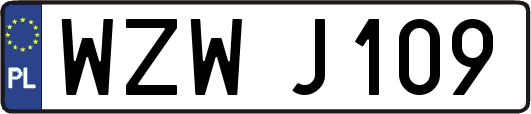 WZWJ109