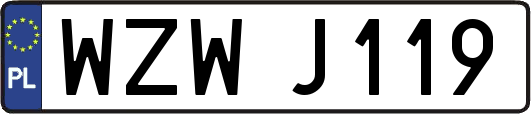 WZWJ119
