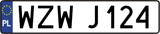 WZWJ124