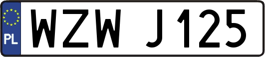 WZWJ125
