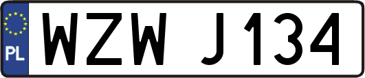 WZWJ134