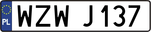 WZWJ137