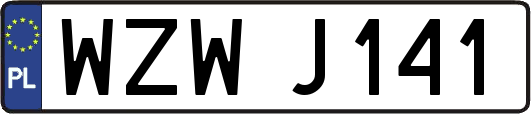 WZWJ141