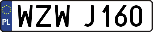 WZWJ160