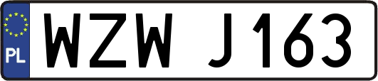 WZWJ163