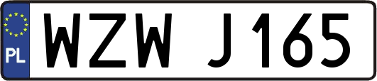 WZWJ165