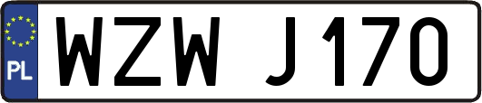 WZWJ170