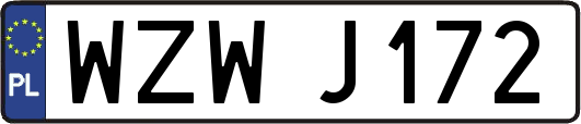 WZWJ172