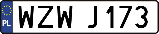 WZWJ173