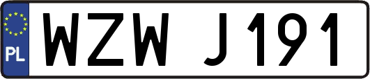 WZWJ191