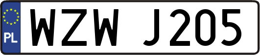 WZWJ205