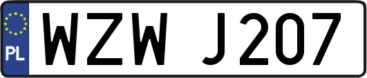 WZWJ207