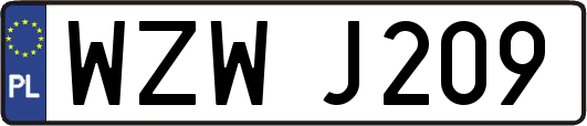 WZWJ209