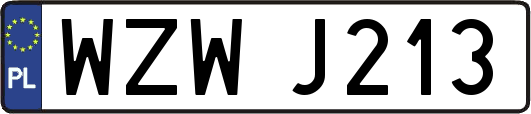 WZWJ213