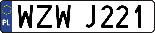 WZWJ221