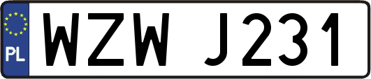 WZWJ231