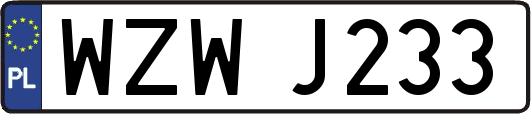 WZWJ233