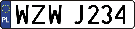 WZWJ234