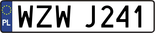 WZWJ241