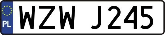 WZWJ245