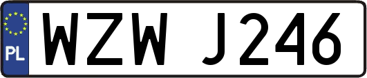 WZWJ246