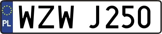 WZWJ250