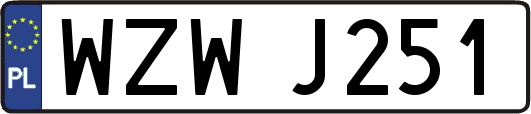 WZWJ251