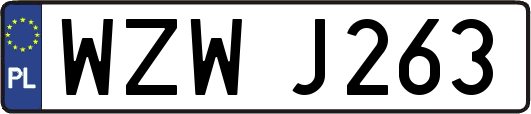 WZWJ263