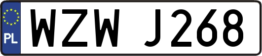WZWJ268