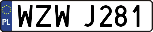 WZWJ281