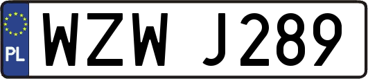 WZWJ289