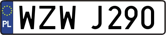 WZWJ290