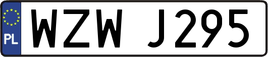 WZWJ295