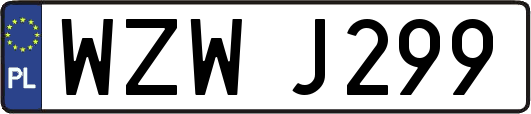 WZWJ299