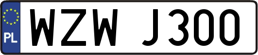 WZWJ300