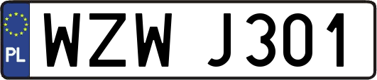 WZWJ301