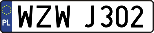 WZWJ302