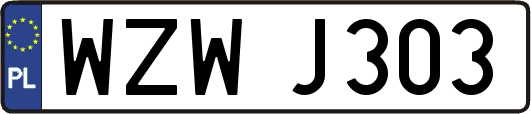 WZWJ303