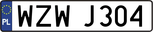 WZWJ304