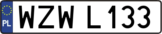 WZWL133