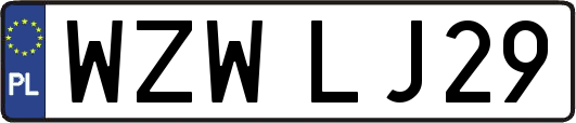 WZWLJ29