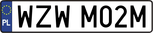 WZWM02M