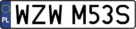 WZWM53S