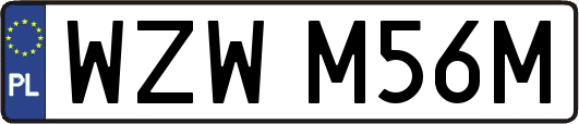 WZWM56M