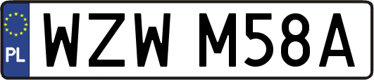 WZWM58A