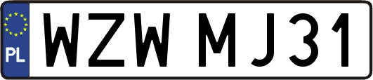 WZWMJ31
