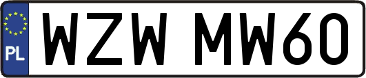 WZWMW60